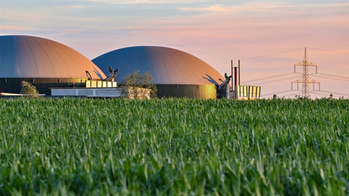 Biogasanlage-high fidelity v2-2x